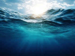 The Environmental Artist Residency