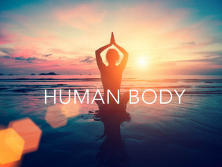 Human Body — the art of seeing ourselves