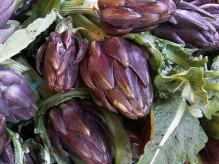 NYC4PA CALL FOR ENTRY - BOTANICALS - FROM A SEED