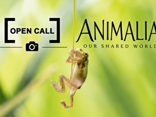 Animalia: Our Shared World